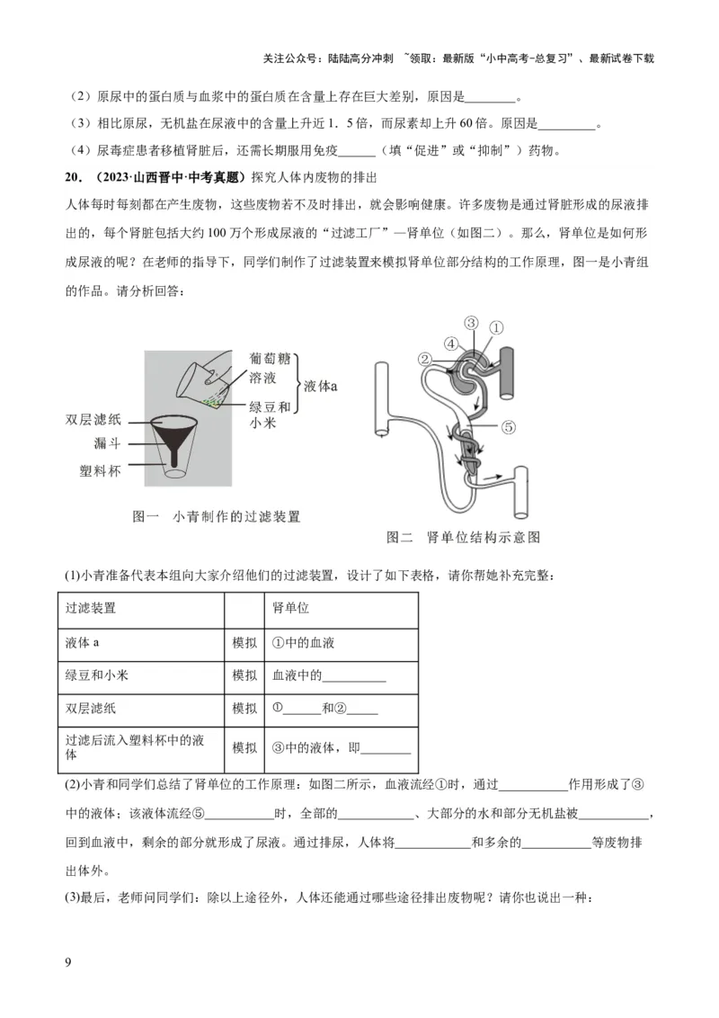 专题13人体内废物的排出（练习）（原卷版）_02中考总复习（2026版更新中）_08-生物-中考总复习_2024年中考复习资料_一轮复习_❤2024年中考生物一轮复习讲练测（全国通用）_练习