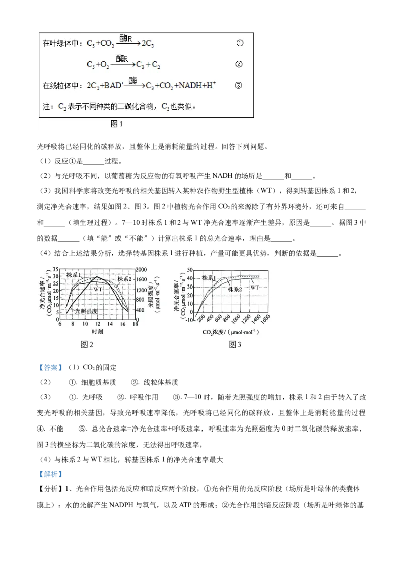 2024年高考生物真题（黑龙江、吉林、辽宁）（解析版）_全国卷+地方卷_6.生物_1.生物高考真题试卷_2024年高考-生物_2024年高考生物真题（辽宁、黑龙江、吉林）