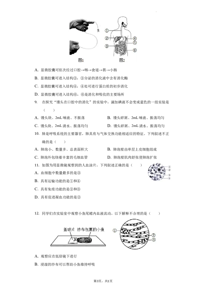 北京市第十三中分校2021-2022学年八年级下学期期中生物试卷(1)_北京初中期末题_C605-京七八九_B京生物七八九_北京八下生物