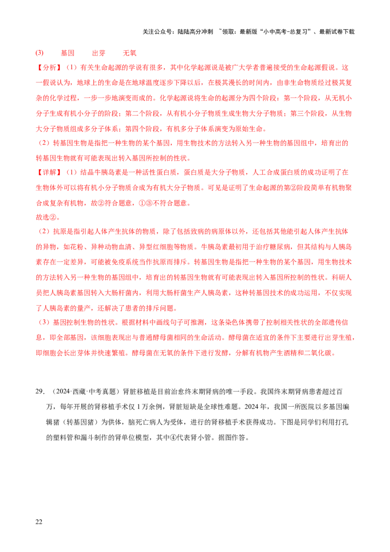 专题13生物技术（全国通用）（解析版）_02中考总复习（2026版更新中）_08-生物-中考总复习_2026年中考复习（更新中）_好题汇编三年（2023-2025）中考生物真题分类汇编（全国通用）