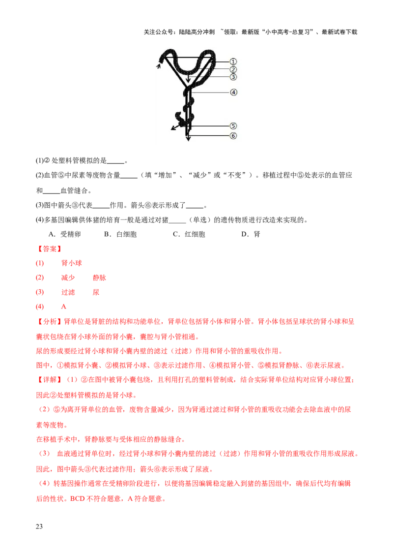 专题13生物技术（全国通用）（解析版）_02中考总复习（2026版更新中）_08-生物-中考总复习_2026年中考复习（更新中）_好题汇编三年（2023-2025）中考生物真题分类汇编（全国通用）