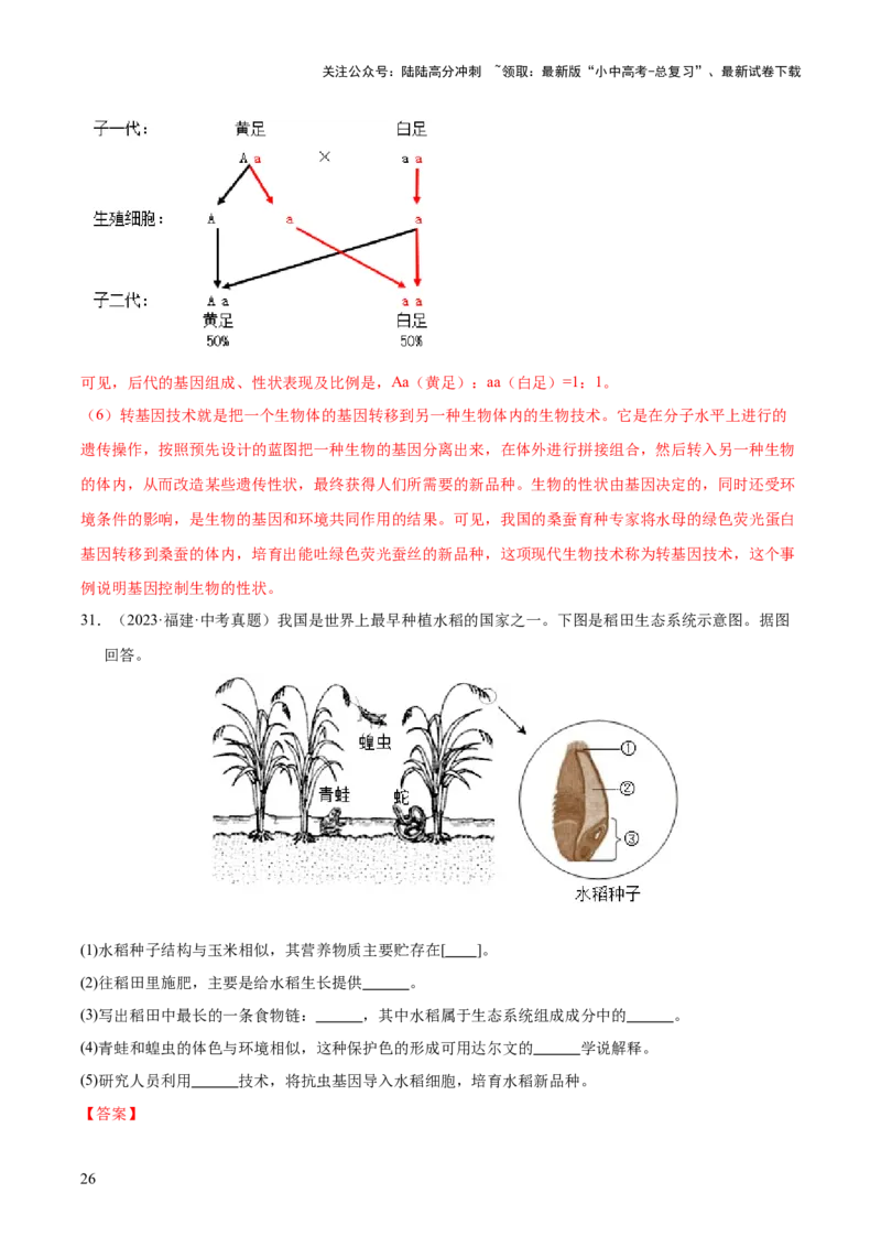 专题13生物技术（全国通用）（解析版）_02中考总复习（2026版更新中）_08-生物-中考总复习_2026年中考复习（更新中）_好题汇编三年（2023-2025）中考生物真题分类汇编（全国通用）