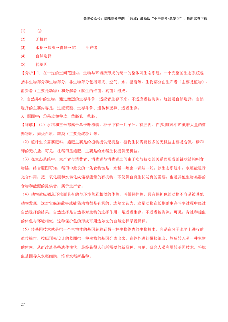 专题13生物技术（全国通用）（解析版）_02中考总复习（2026版更新中）_08-生物-中考总复习_2026年中考复习（更新中）_好题汇编三年（2023-2025）中考生物真题分类汇编（全国通用）