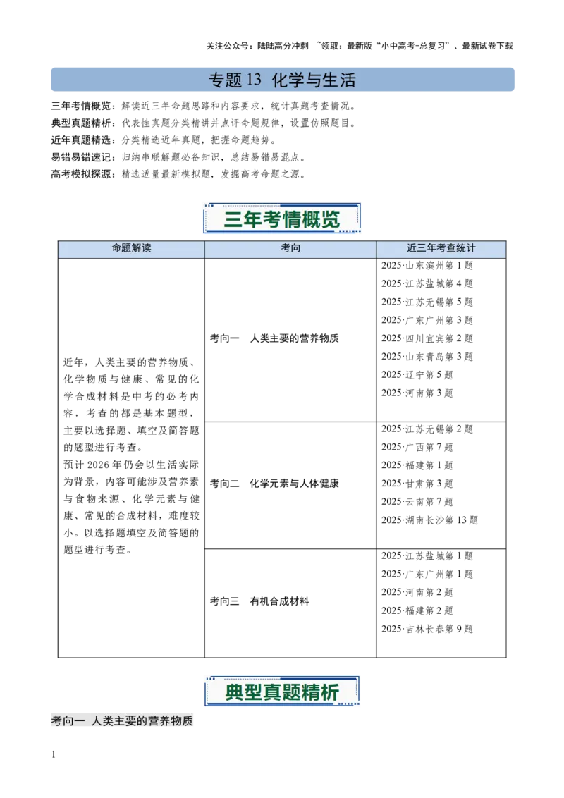 专题13化学与生活（解析版）_02中考总复习（2026版更新中）_05-化学-中考总复习_2026年中考复习（更新中）_备战2026年中考化学真题题源解密
