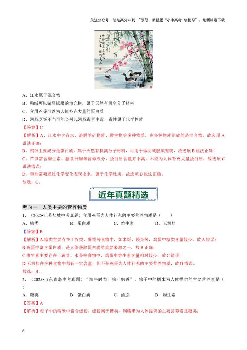 专题13化学与生活（解析版）_02中考总复习（2026版更新中）_05-化学-中考总复习_2026年中考复习（更新中）_备战2026年中考化学真题题源解密