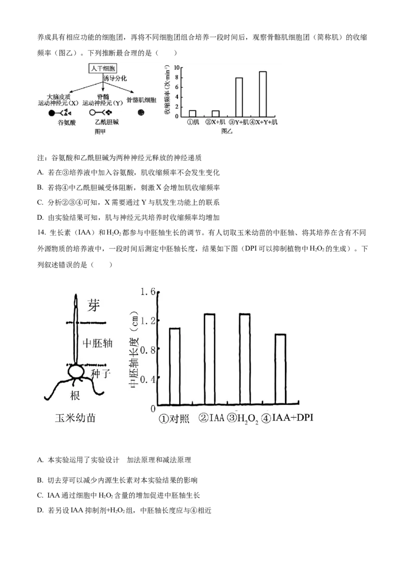 2025年高考生物真题（四川自主命题）（原卷版）_全国卷+地方卷_6.生物_1.生物高考真题试卷_2025年高考-生物_2025年四川自主命题