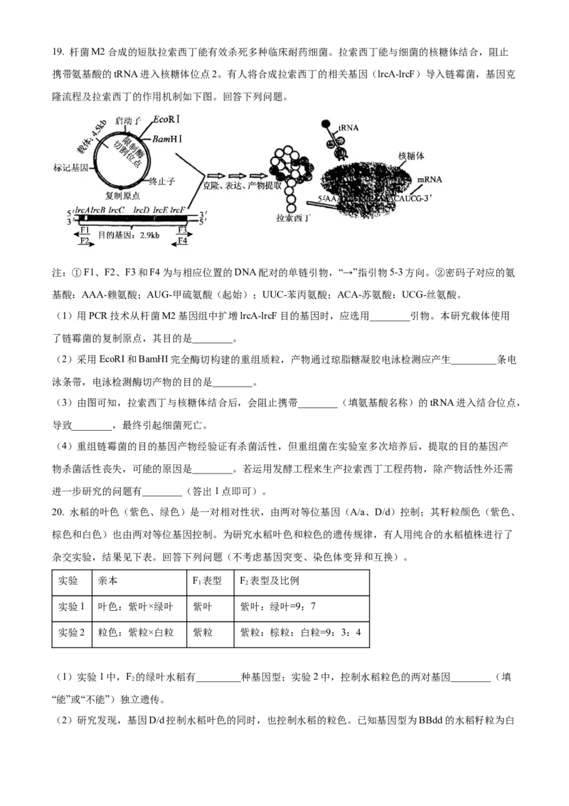 2025年高考生物真题（四川自主命题）（原卷版）_全国卷+地方卷_6.生物_1.生物高考真题试卷_2025年高考-生物_2025年四川自主命题