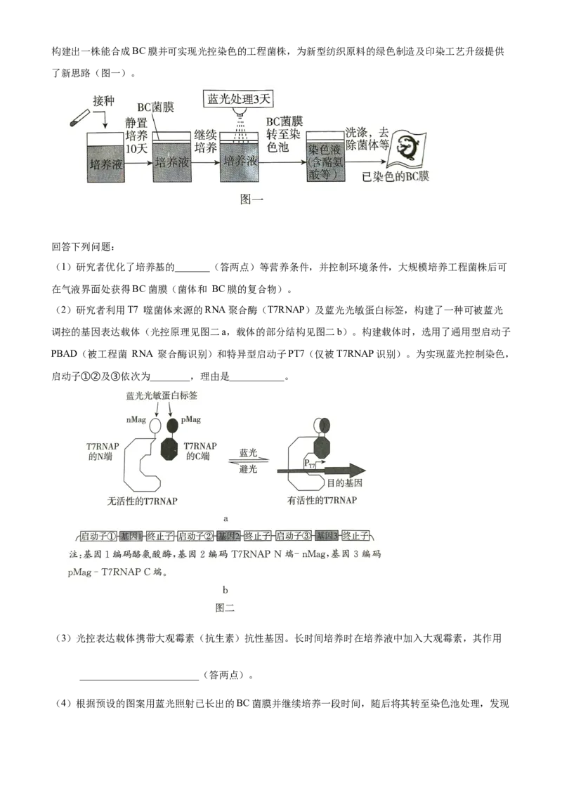 2024年高考生物真题（广东自主命题）（原卷版）_全国卷+地方卷_6.生物_1.生物高考真题试卷_2024年高考-生物_2024年广东自主命题-生物