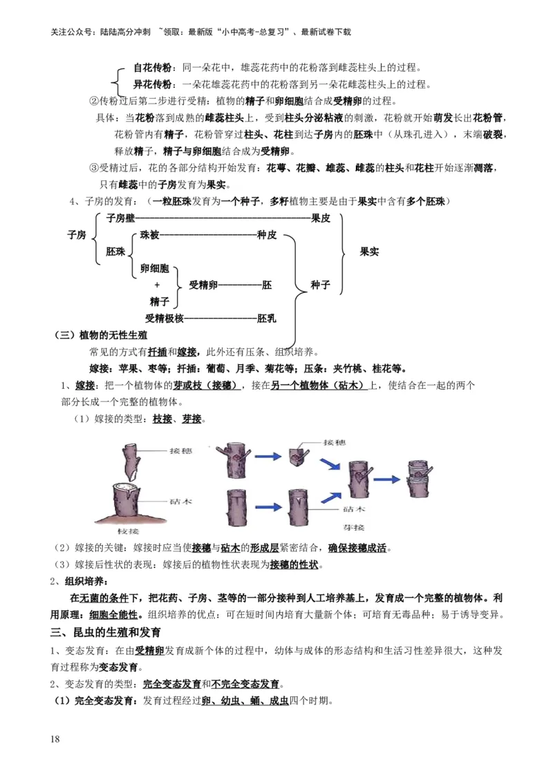 专题13生物的生殖和发育（解析版）_02中考总复习（2026版更新中）_08-生物-中考总复习_2024年中考复习资料_专项复习_备战2024年中考生物真题题源解密