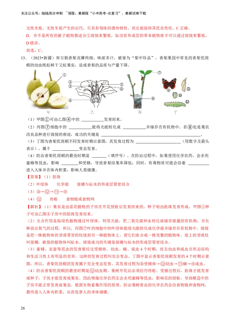 专题13生物的生殖和发育（解析版）_02中考总复习（2026版更新中）_08-生物-中考总复习_2024年中考复习资料_专项复习_备战2024年中考生物真题题源解密
