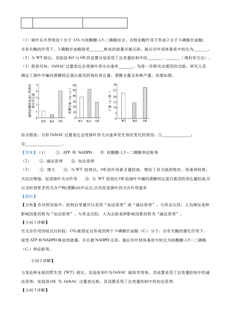 2024年高考生物真题（安徽自主命题）（解析版）_全国卷+地方卷_6.生物_1.生物高考真题试卷_2024年高考-生物_2024年安徽自主命题-生物