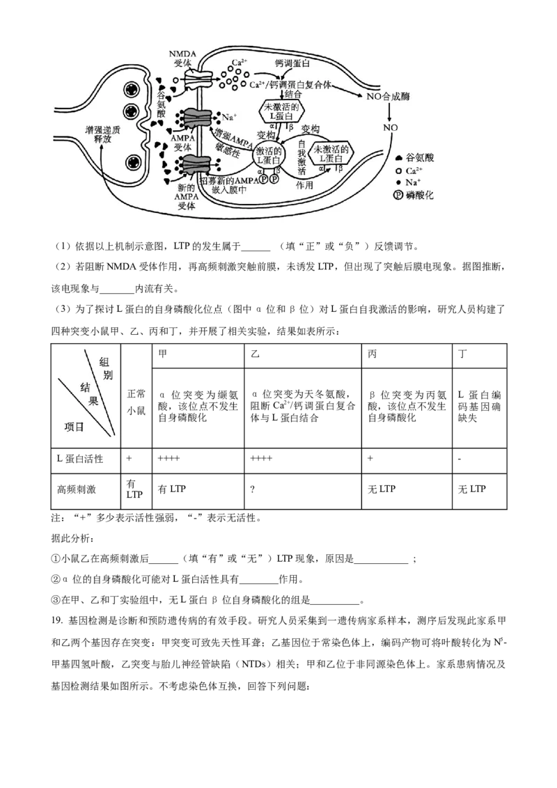 2023年高考生物真题（湖南自主命题）（原卷版）_全国卷+地方卷_6.生物_1.生物高考真题试卷_2023年高考-生物_2023年湖南自主命题
