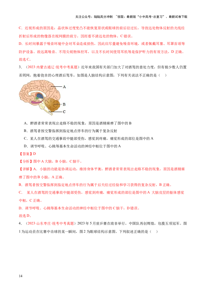 专题14人体生命活动的调节（解析版）_02中考总复习（2026版更新中）_08-生物-中考总复习_2024年中考复习资料_一轮复习_❤备战2024年中考生物一轮复习考点帮（全国通用）_练习