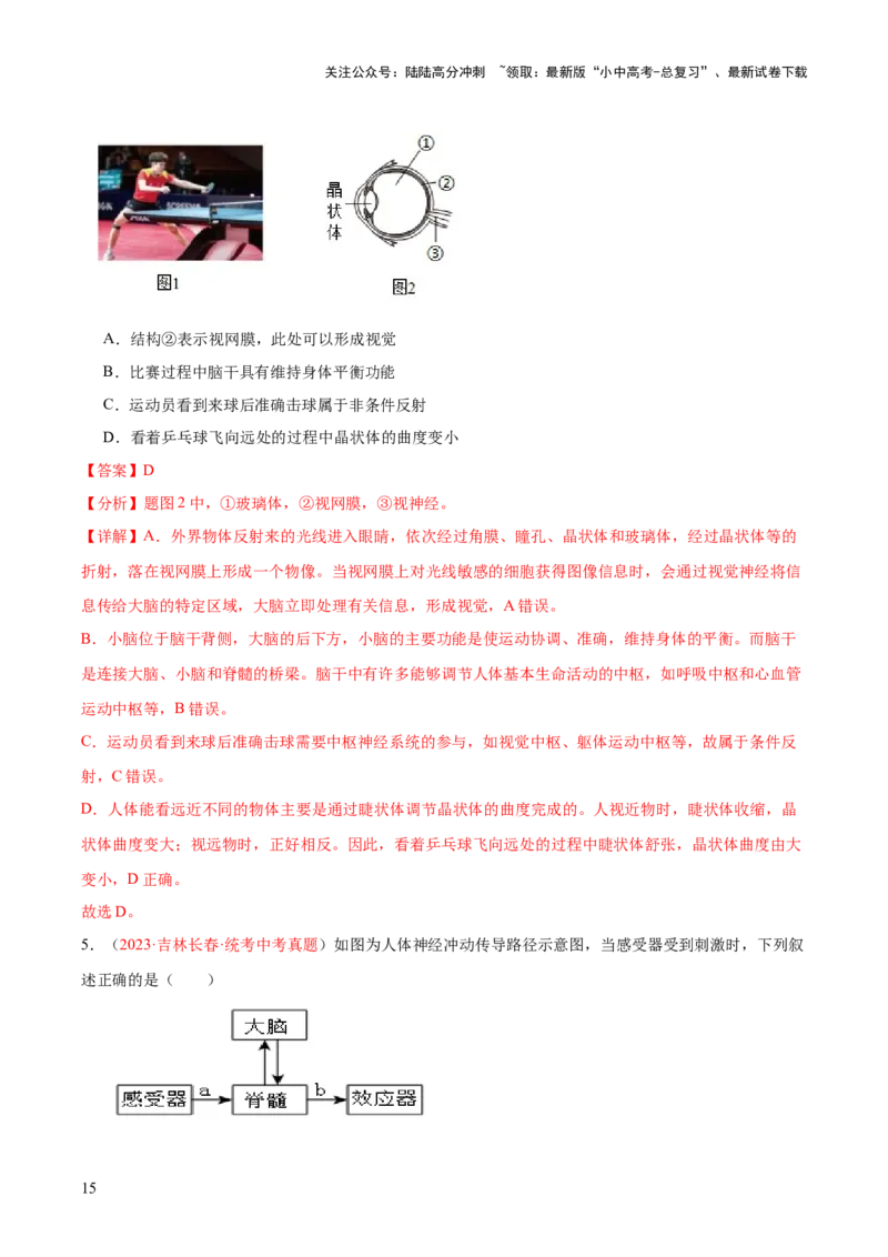 专题14人体生命活动的调节（解析版）_02中考总复习（2026版更新中）_08-生物-中考总复习_2024年中考复习资料_一轮复习_❤备战2024年中考生物一轮复习考点帮（全国通用）_练习