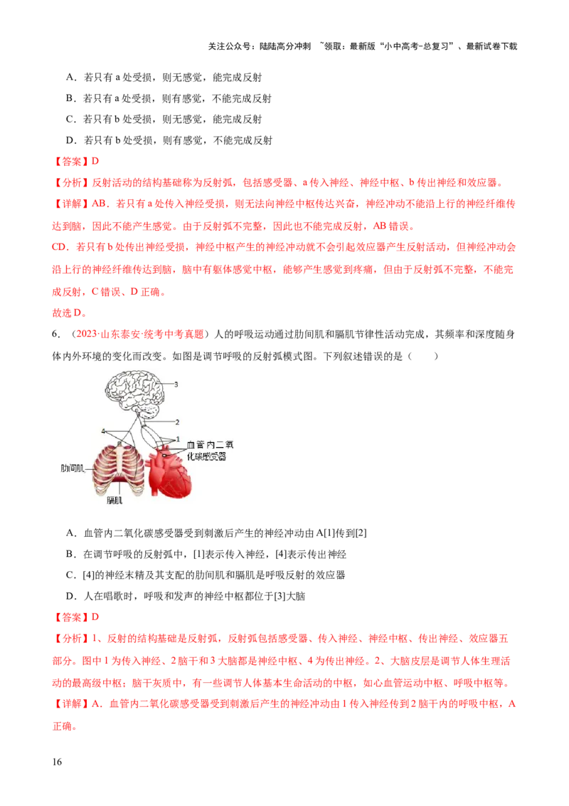 专题14人体生命活动的调节（解析版）_02中考总复习（2026版更新中）_08-生物-中考总复习_2024年中考复习资料_一轮复习_❤备战2024年中考生物一轮复习考点帮（全国通用）_练习
