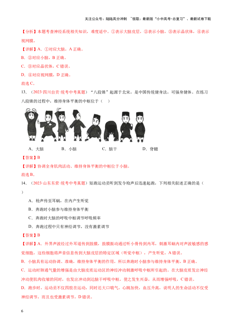 专题14人体生命活动的调节（解析版）_02中考总复习（2026版更新中）_08-生物-中考总复习_2024年中考复习资料_一轮复习_❤备战2024年中考生物一轮复习考点帮（全国通用）_练习