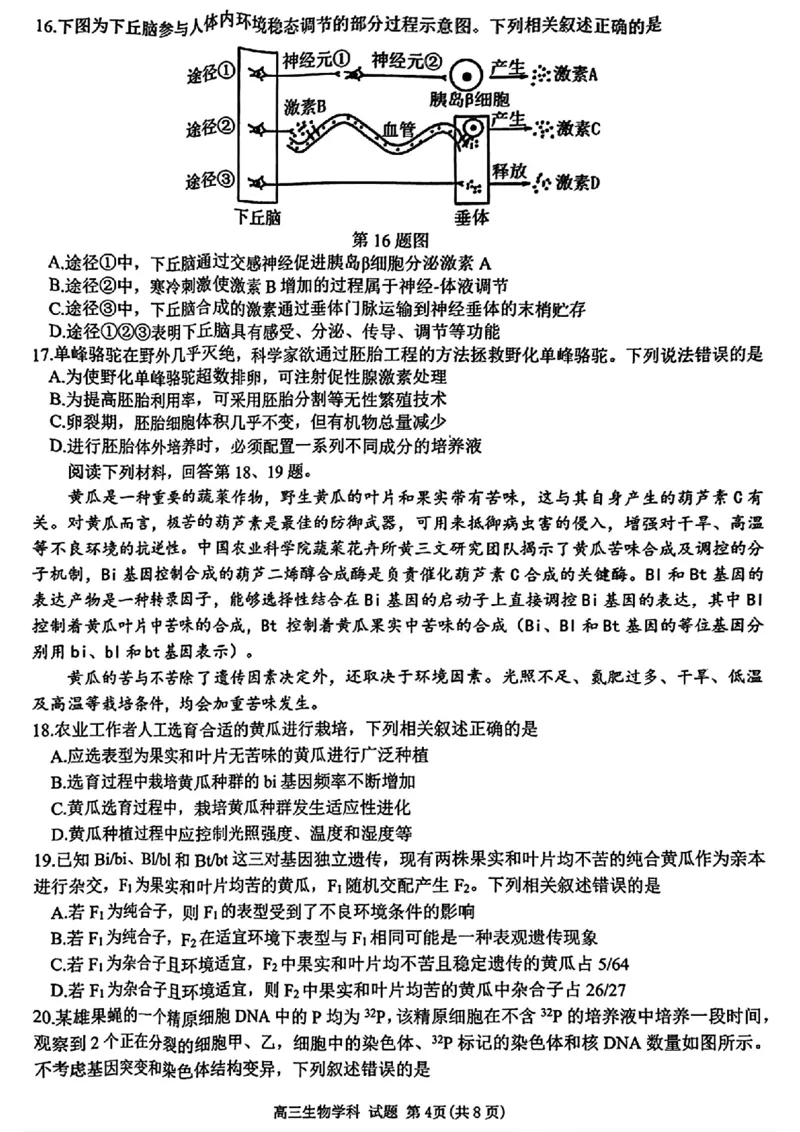 2024-2025学年第一学期天域全国名校协作体联考生物试题_A1502026各地模拟卷（超值！）_10月_2410072025届天域全国名校协作体浙江省10月联考