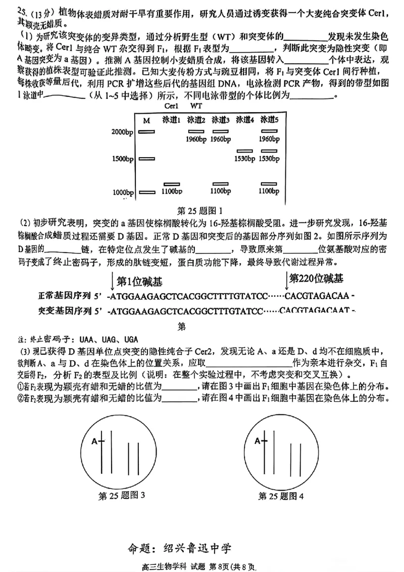 2024-2025学年第一学期天域全国名校协作体联考生物试题_A1502026各地模拟卷（超值！）_10月_2410072025届天域全国名校协作体浙江省10月联考