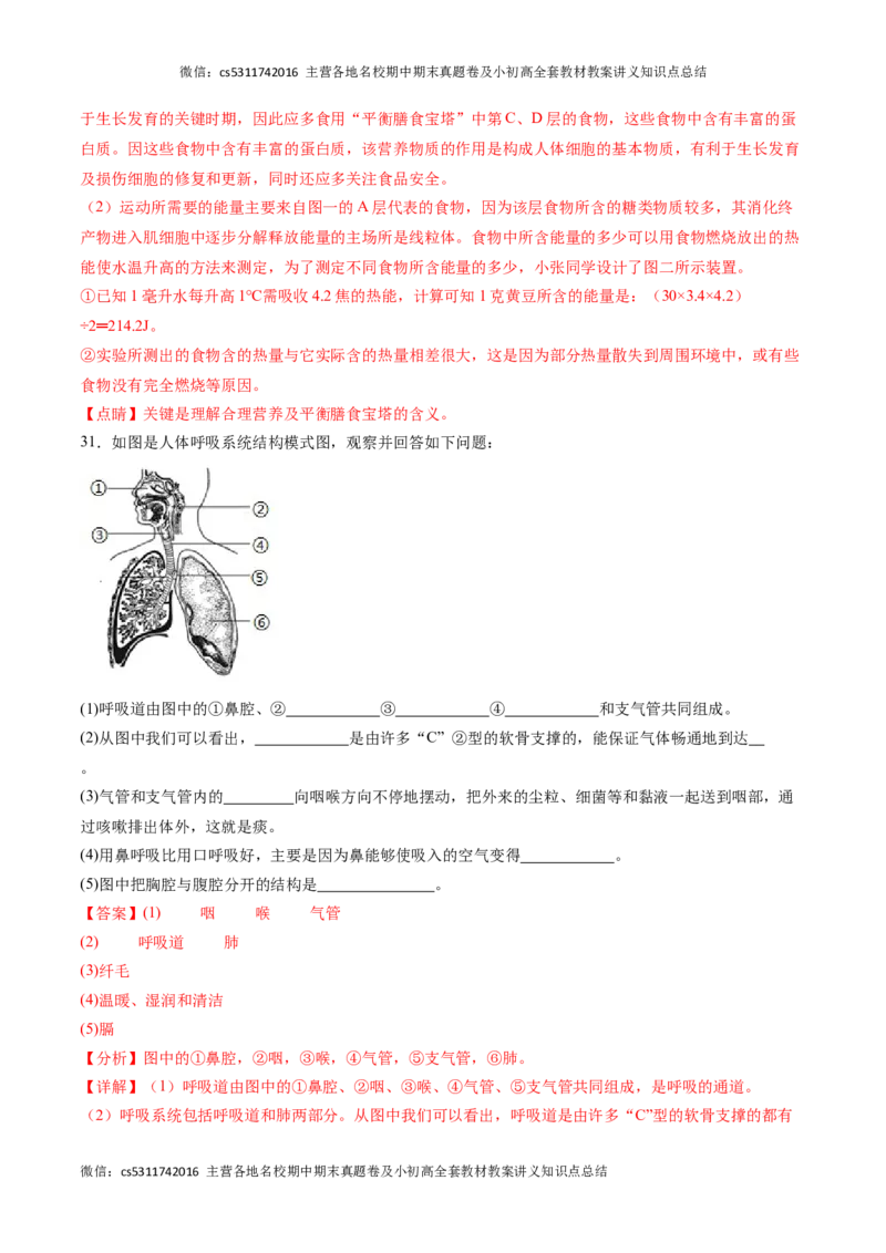 期末冲刺卷02（北京专用）（解析版）(1)_北京初中期末题_C605-京七八九_B京生物七八九_北京7下生物_2022-2024_北京生物7下期末