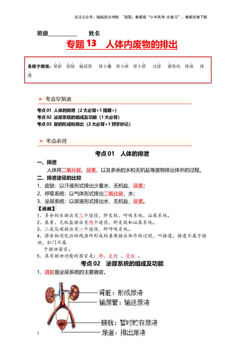 专题13人体内废物的排出（背记帮）-备战2024年中考生物一轮复习考点帮_02中考总复习（2026版更新中）_08-生物-中考总复习_2024年中考复习资料_一轮复习_必背考点