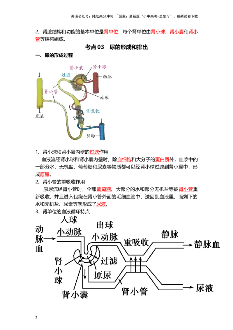 专题13人体内废物的排出（背记帮）-备战2024年中考生物一轮复习考点帮_02中考总复习（2026版更新中）_08-生物-中考总复习_2024年中考复习资料_一轮复习_必背考点