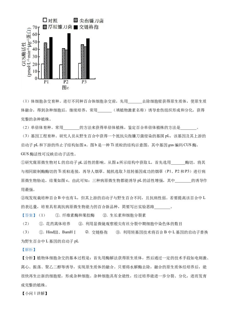 2024年高考生物真题（湖南自主命题）（解析版）_全国卷+地方卷_6.生物_1.生物高考真题试卷_2024年高考-生物_2024年湖南自主命题-生物