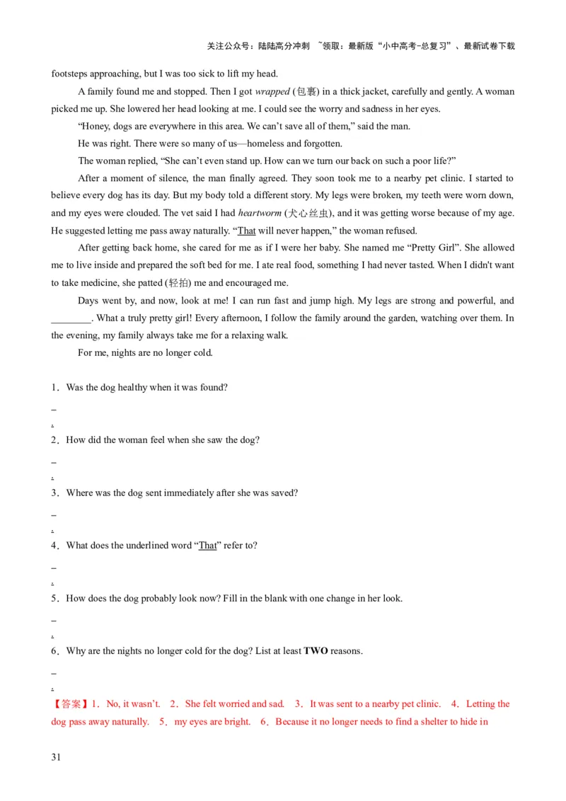 专题13阅读表达（答题模板）（解析版）_02中考总复习（2026版更新中）_03-英语-中考总复习_2025中考复习资料_2025年中考英语答题方法模板