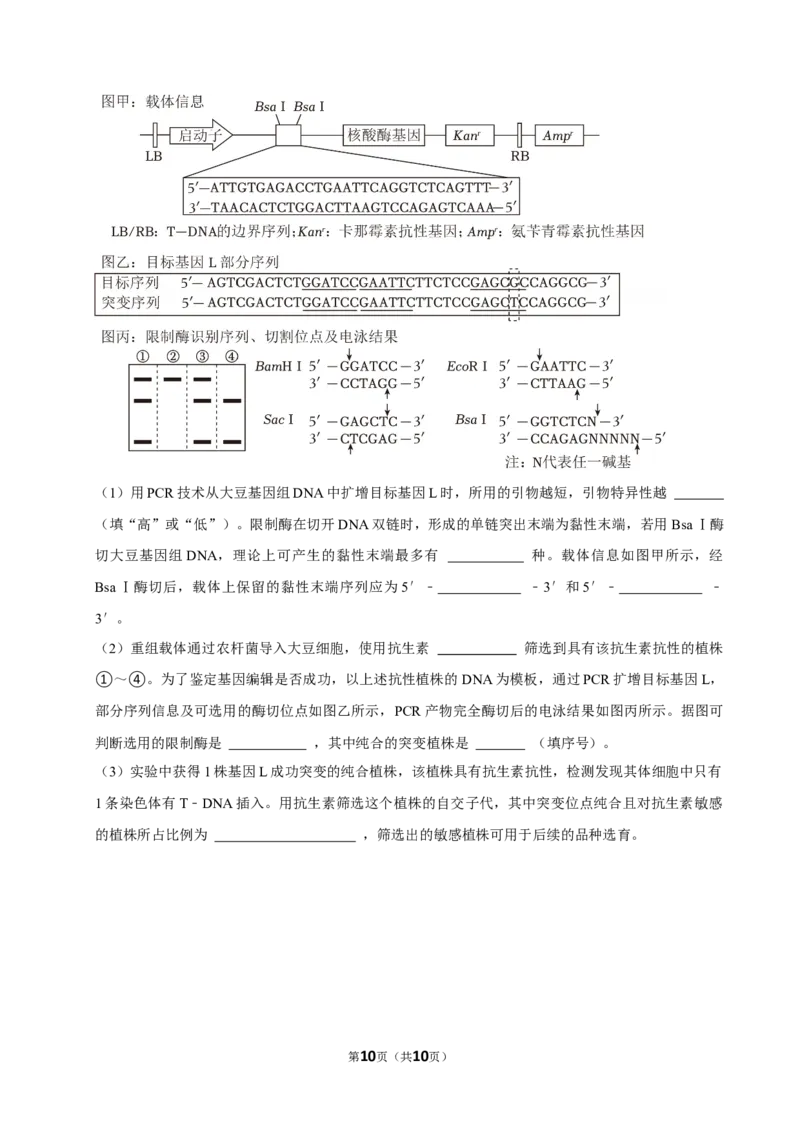 2024年高考生物真题（山东自主命题）（原卷版）_全国卷+地方卷_6.生物_1.生物高考真题试卷_2024年高考-生物_2024年山东自主命题-生物
