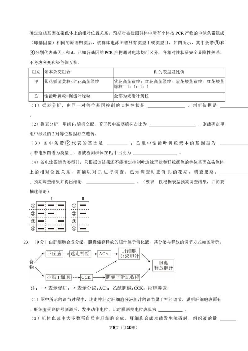 2024年高考生物真题（山东自主命题）（原卷版）_全国卷+地方卷_6.生物_1.生物高考真题试卷_2024年高考-生物_2024年山东自主命题-生物