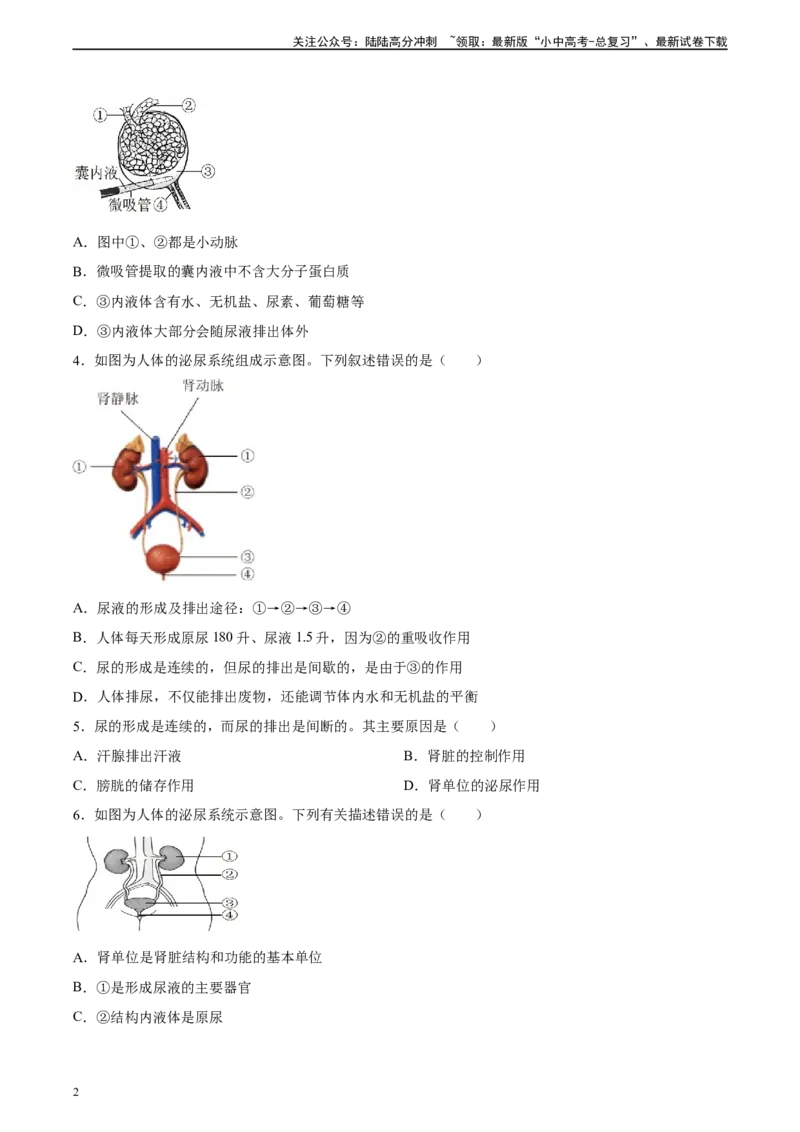 专题13人体内废物的排出（习题精练）-省心备考2024年中考生物一轮复习精讲精练（全国通用）（原卷版）_02中考总复习（2026版更新中）_08-生物-中考总复习_2024年中考复习资料