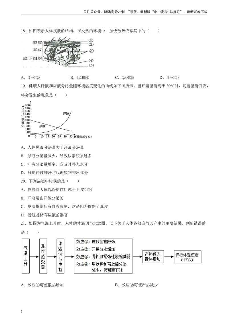 专题13人体内废物的排出（习题精练）-省心备考2024年中考生物一轮复习精讲精练（全国通用）（原卷版）_02中考总复习（2026版更新中）_08-生物-中考总复习_2024年中考复习资料