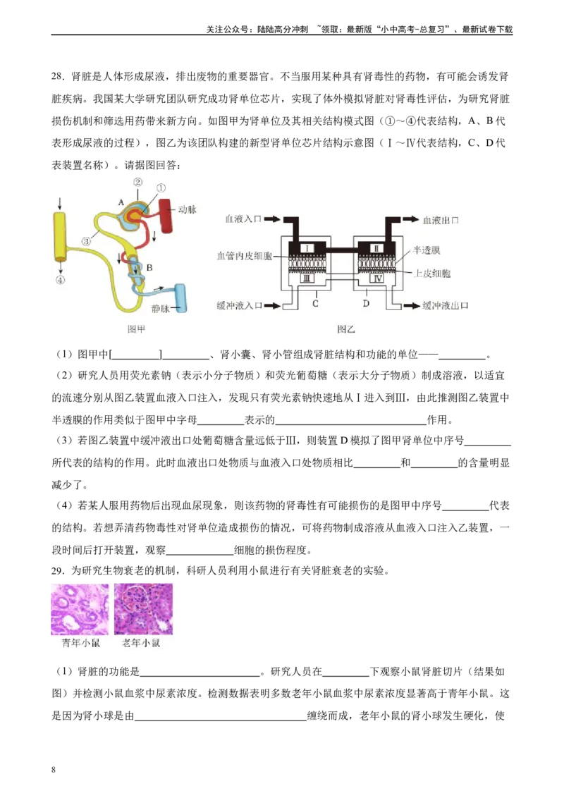 专题13人体内废物的排出（习题精练）-省心备考2024年中考生物一轮复习精讲精练（全国通用）（原卷版）_02中考总复习（2026版更新中）_08-生物-中考总复习_2024年中考复习资料