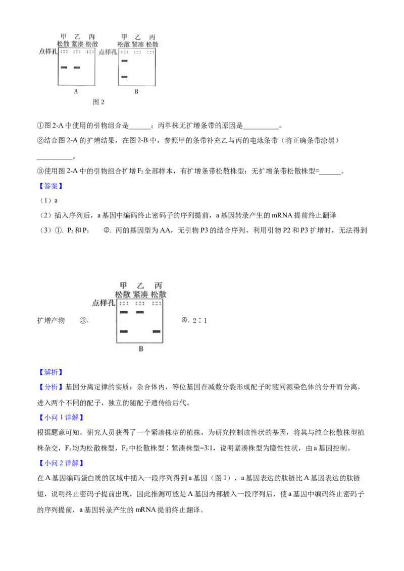 2025年高考生物真题（河南自主命题）（解析版）_全国卷+地方卷_6.生物_1.生物高考真题试卷_2025年高考-生物_2025年河南自主命题