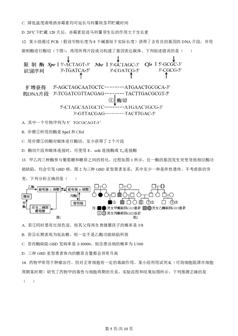 2023年高考生物试卷（重庆）（空白卷）_A1502026各地模拟卷（超值！）_赠送：2008-2024全套高考真题_高考生物真题_新&middot;PDF版2008-2024&middot;高考生物真题_版本3：生物（按年份分类）2008-2024