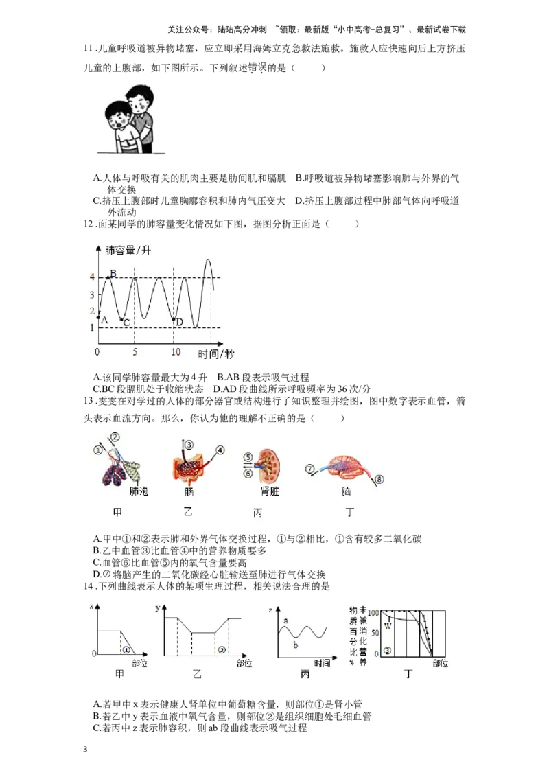 专题13人体的呼吸（原卷版）_02中考总复习（2026版更新中）_08-生物-中考总复习_2024年中考复习资料_一轮复习_配套练习