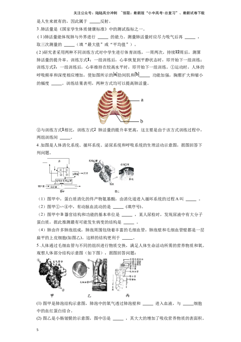 专题13人体的呼吸（原卷版）_02中考总复习（2026版更新中）_08-生物-中考总复习_2024年中考复习资料_一轮复习_配套练习
