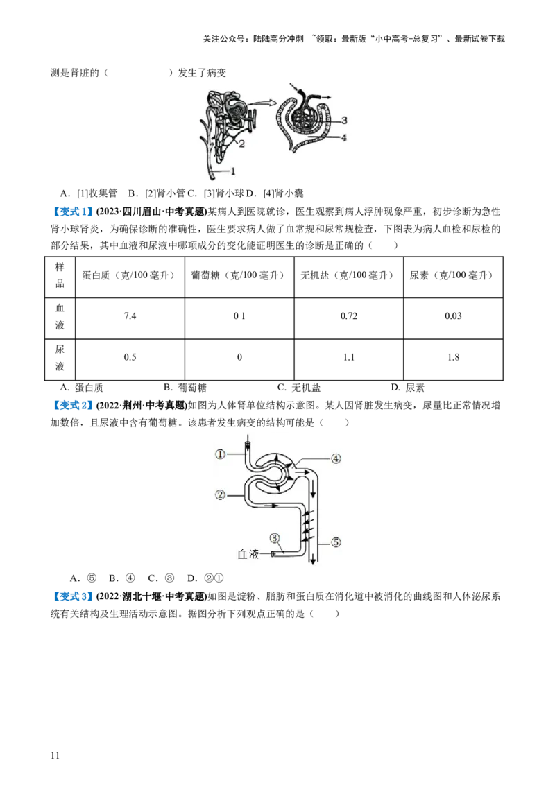 专题13人体内废物的排出（讲义）（原卷版）_02中考总复习（2026版更新中）_08-生物-中考总复习_2024年中考复习资料_一轮复习_❤2024年中考生物一轮复习讲练测（全国通用）_讲义