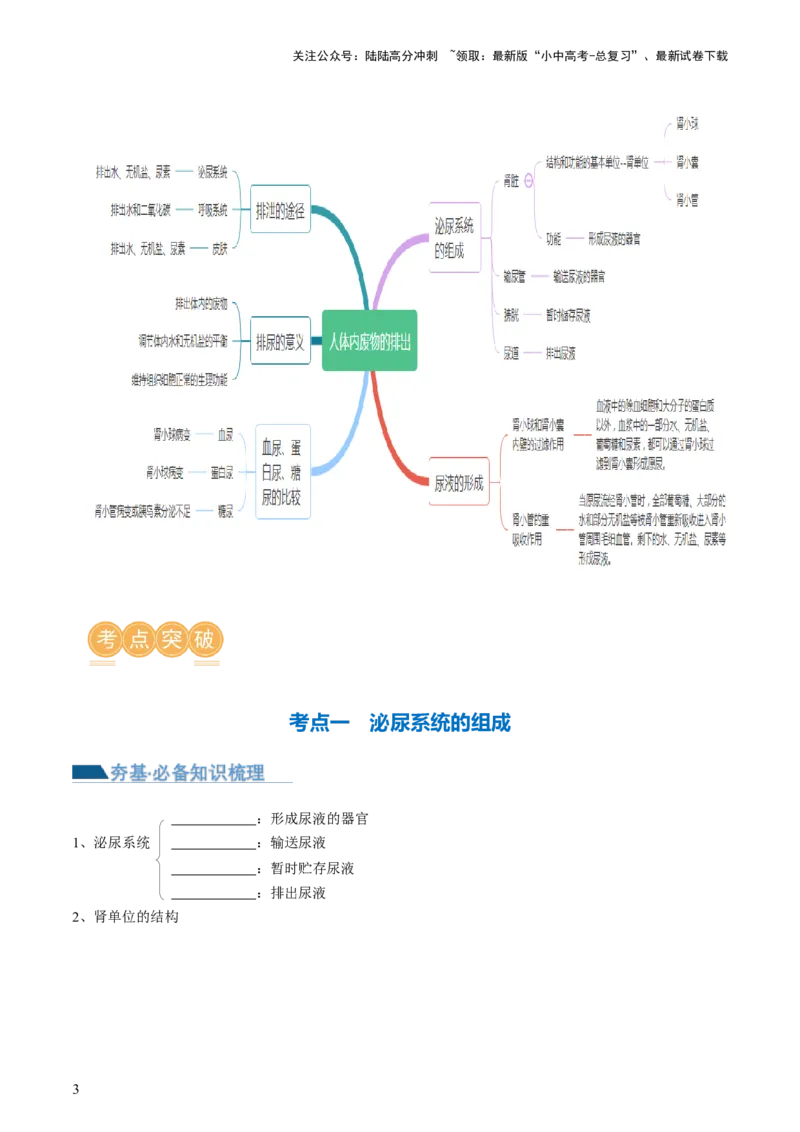 专题13人体内废物的排出（讲义）（原卷版）_02中考总复习（2026版更新中）_08-生物-中考总复习_2024年中考复习资料_一轮复习_❤2024年中考生物一轮复习讲练测（全国通用）_讲义