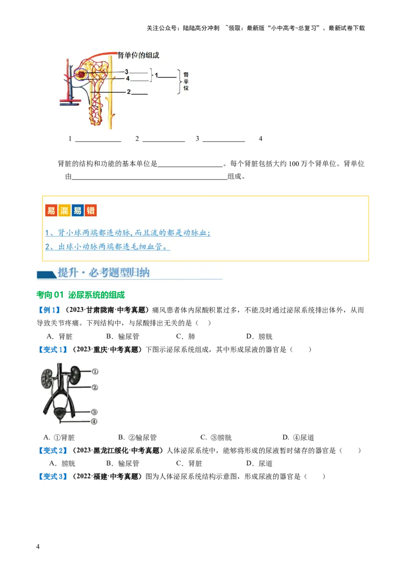 专题13人体内废物的排出（讲义）（原卷版）_02中考总复习（2026版更新中）_08-生物-中考总复习_2024年中考复习资料_一轮复习_❤2024年中考生物一轮复习讲练测（全国通用）_讲义