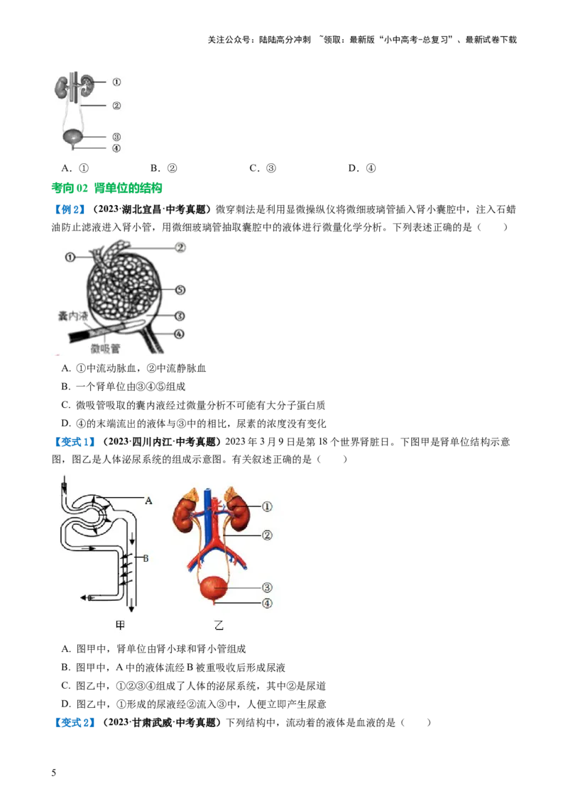 专题13人体内废物的排出（讲义）（原卷版）_02中考总复习（2026版更新中）_08-生物-中考总复习_2024年中考复习资料_一轮复习_❤2024年中考生物一轮复习讲练测（全国通用）_讲义