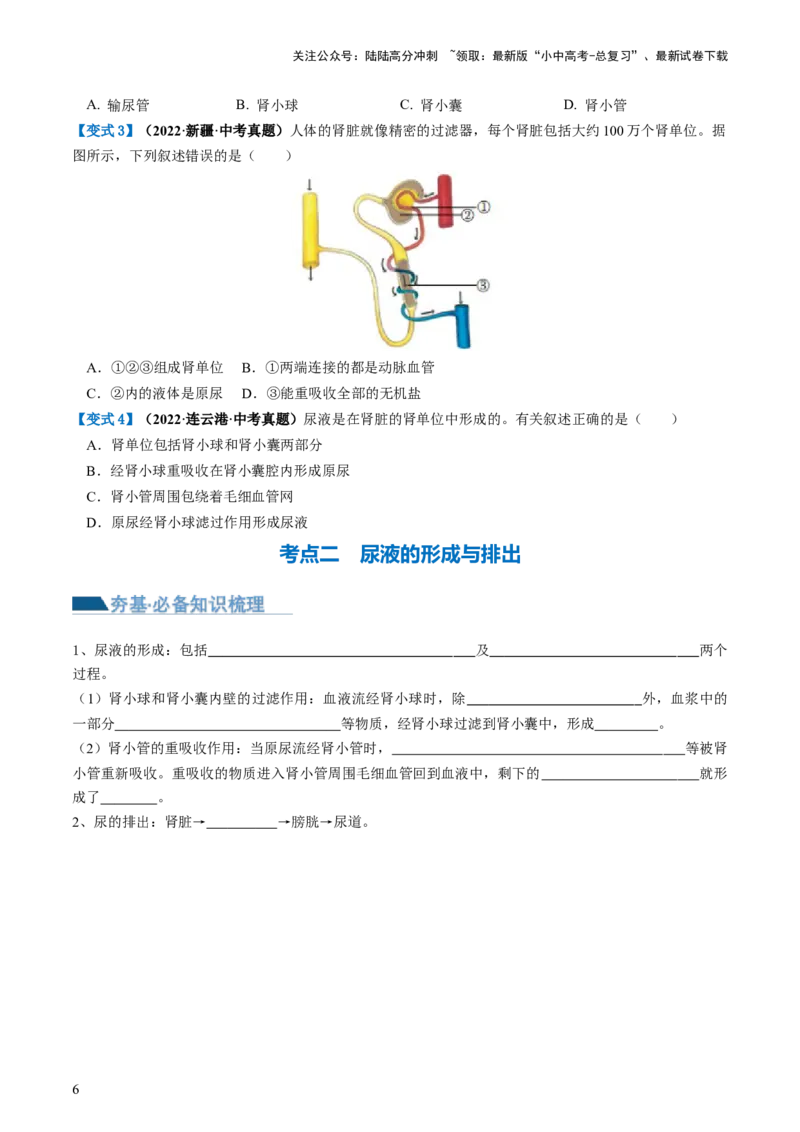 专题13人体内废物的排出（讲义）（原卷版）_02中考总复习（2026版更新中）_08-生物-中考总复习_2024年中考复习资料_一轮复习_❤2024年中考生物一轮复习讲练测（全国通用）_讲义