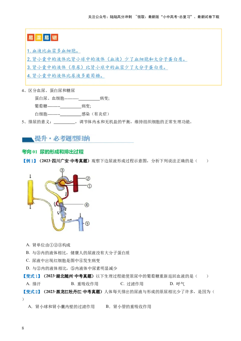 专题13人体内废物的排出（讲义）（原卷版）_02中考总复习（2026版更新中）_08-生物-中考总复习_2024年中考复习资料_一轮复习_❤2024年中考生物一轮复习讲练测（全国通用）_讲义