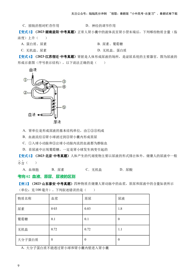 专题13人体内废物的排出（讲义）（原卷版）_02中考总复习（2026版更新中）_08-生物-中考总复习_2024年中考复习资料_一轮复习_❤2024年中考生物一轮复习讲练测（全国通用）_讲义