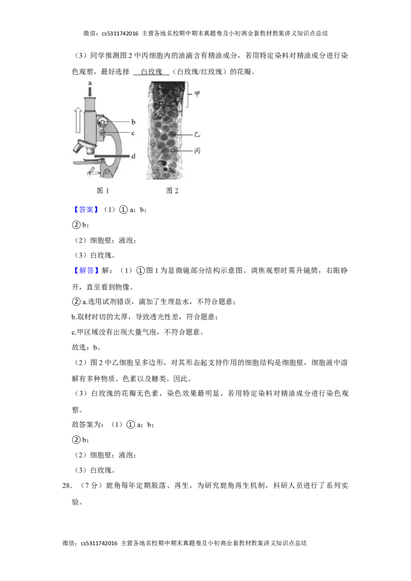 北京市昌平区2023-2024学年七年级上学期期末生物试卷(1)_北京初中期末题_C605-京七八九_B京生物七八九_北京7上生物_2022-2024_北京生物7上期末