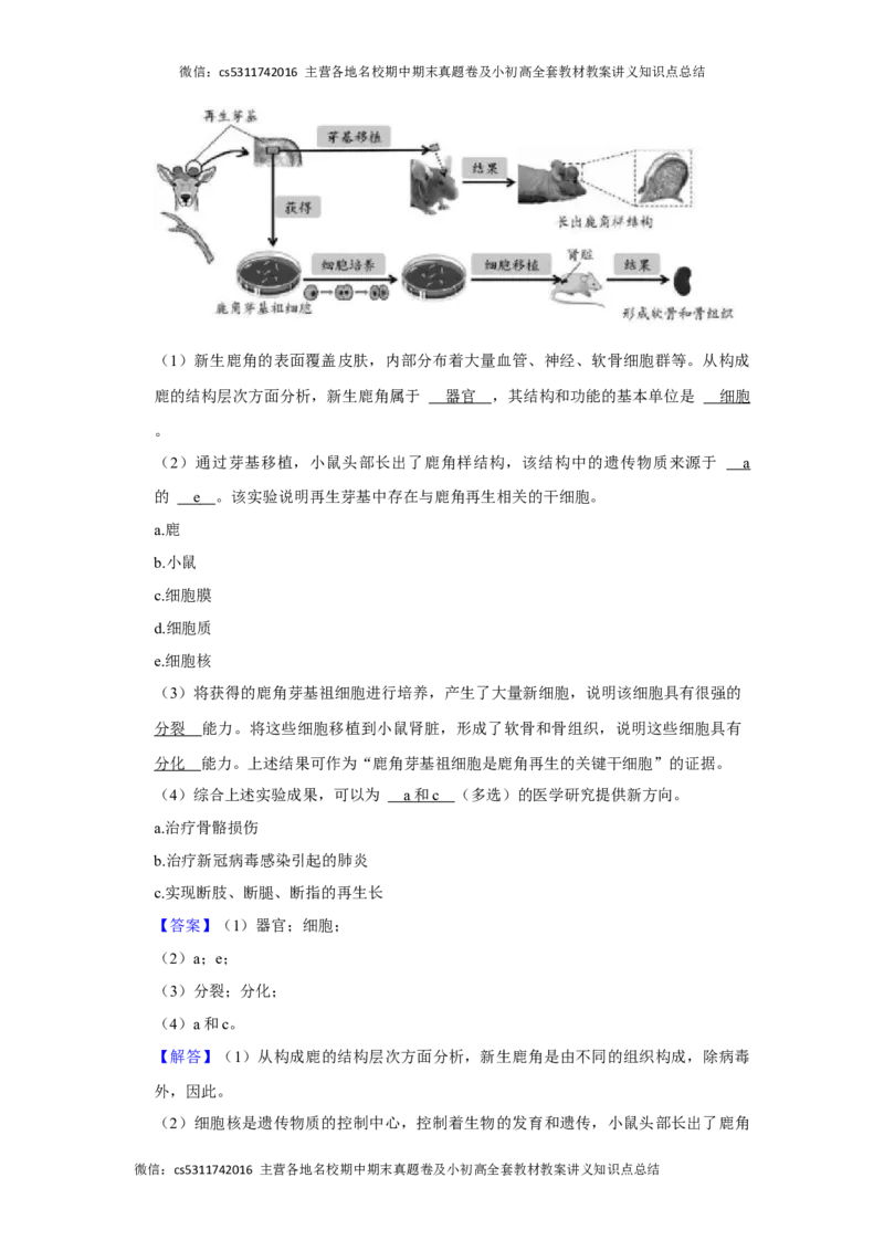 北京市昌平区2023-2024学年七年级上学期期末生物试卷(1)_北京初中期末题_C605-京七八九_B京生物七八九_北京7上生物_2022-2024_北京生物7上期末