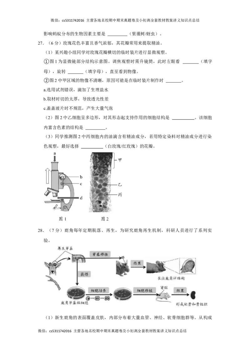 北京市昌平区2023-2024学年七年级上学期期末生物试卷(1)_北京初中期末题_C605-京七八九_B京生物七八九_北京7上生物_2022-2024_北京生物7上期末