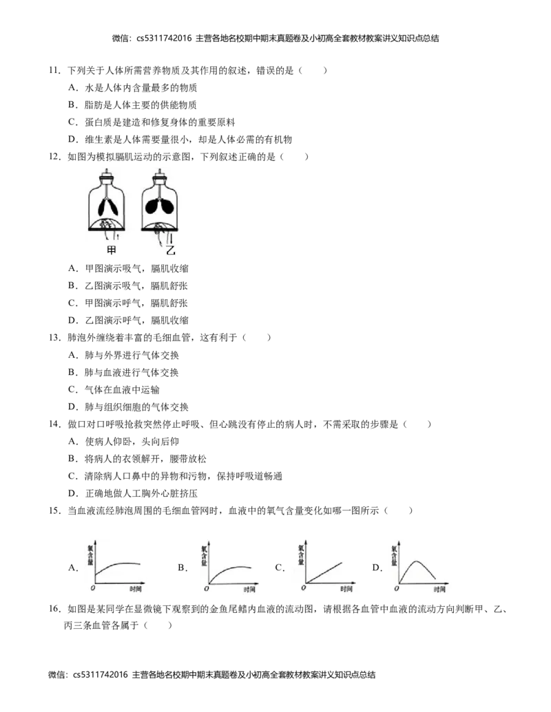 七年级生物期中模拟卷（考试版A4）测试范围：第1~4章（人教版）(1)_北京初中期末题_C605-京七八九_B京生物七八九_北京7下生物_2022-2024_北京生物7下期中