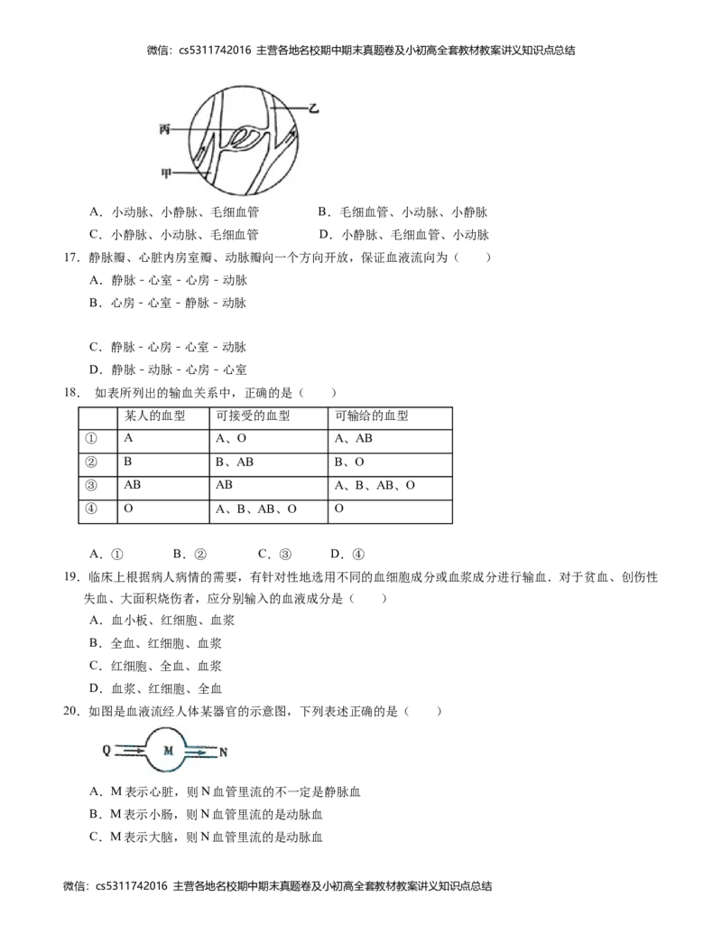 七年级生物期中模拟卷（考试版A4）测试范围：第1~4章（人教版）(1)_北京初中期末题_C605-京七八九_B京生物七八九_北京7下生物_2022-2024_北京生物7下期中