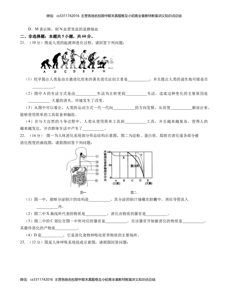 七年级生物期中模拟卷（考试版A4）测试范围：第1~4章（人教版）(1)_北京初中期末题_C605-京七八九_B京生物七八九_北京7下生物_2022-2024_北京生物7下期中