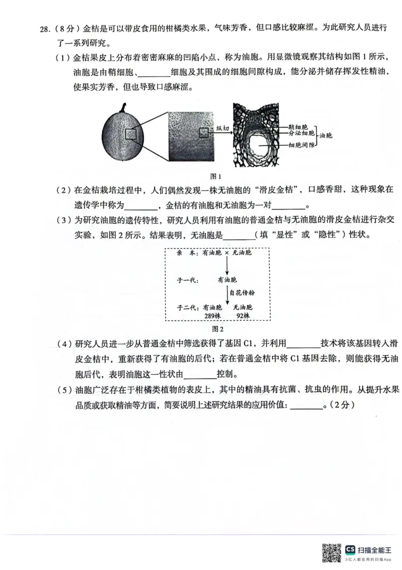 生物(1)_北京初中期末题_C605-京七八九_B京生物七八九_北京八下生物_北京市海淀区2023-2024学年八年级下学期期中生物试题_北京市海淀区2023-2024学年第二学期八年级期中生物试题PDF含答案